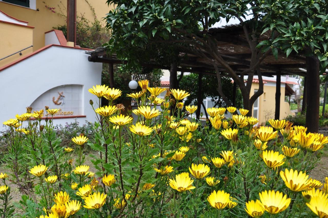 Hotel La Marticana Isquia Exterior foto