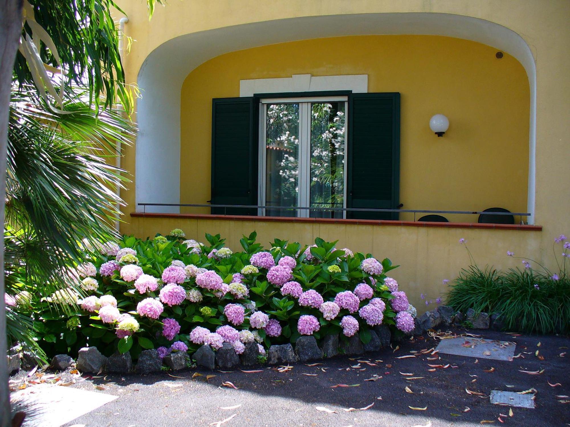 Hotel La Marticana Isquia Exterior foto
