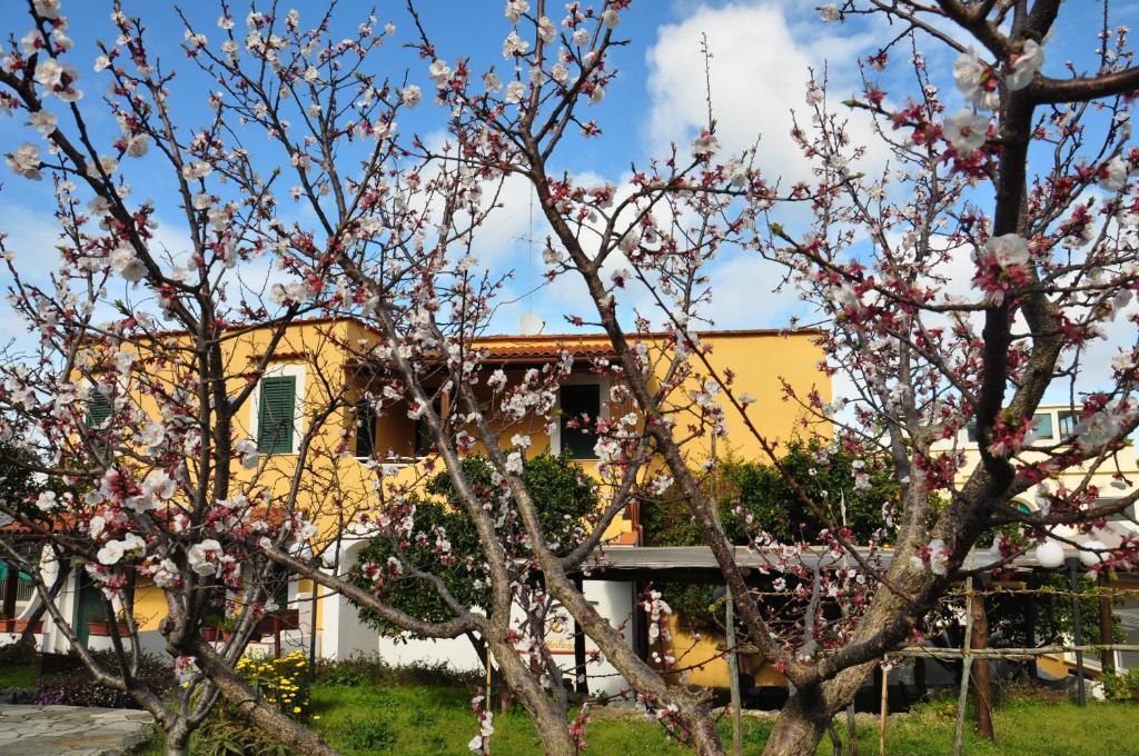 Hotel La Marticana Isquia Exterior foto